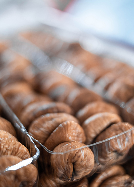 Growth and Global Recognition (1981–1994)