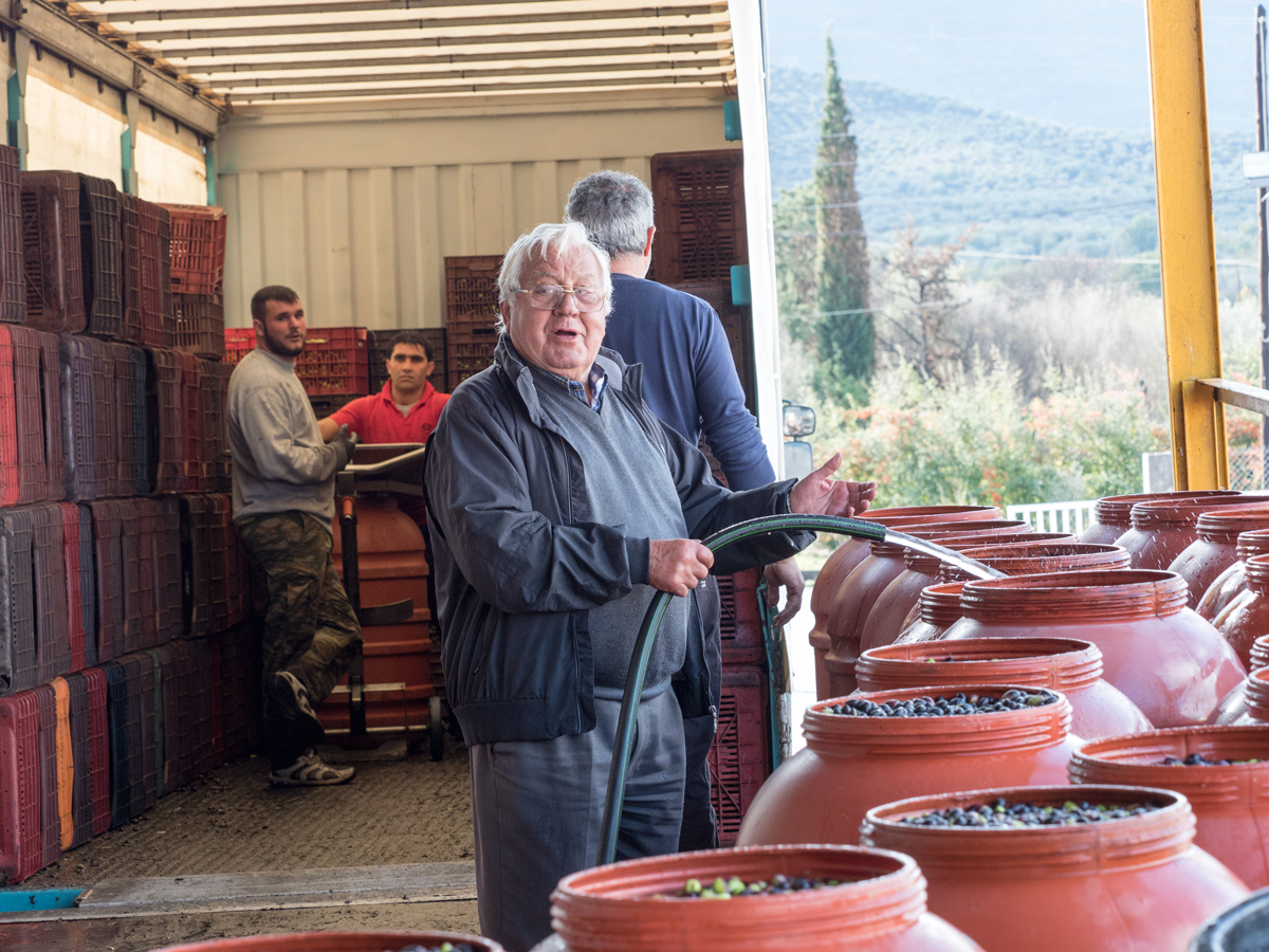 What makes our olives unique